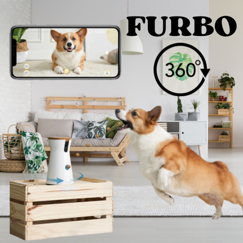 Furbo 360° (Dog Cam)